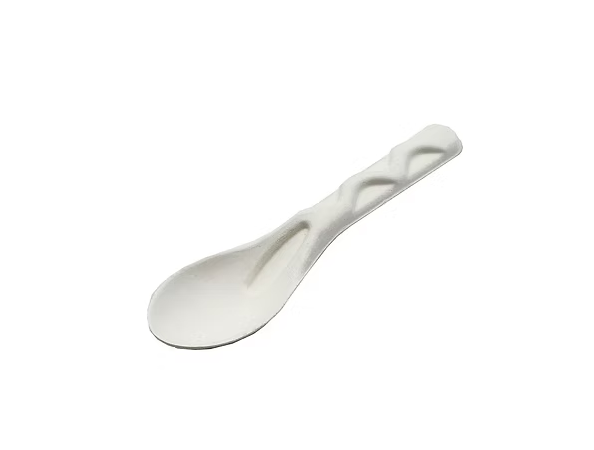 Bagasse Spoon 141mm 1000pc/ctn